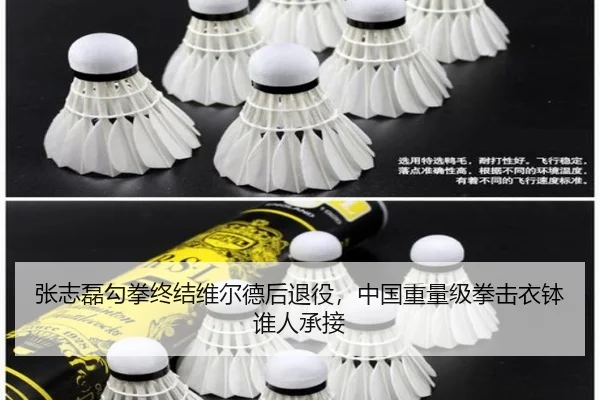 张志磊勾拳终结维尔德后退役，中国重量级拳击衣钵谁人承接